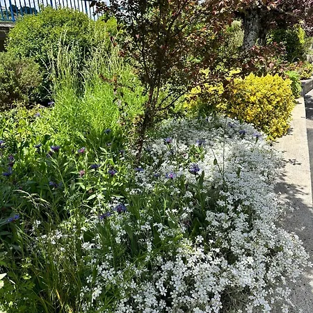 La Malaguena アパート