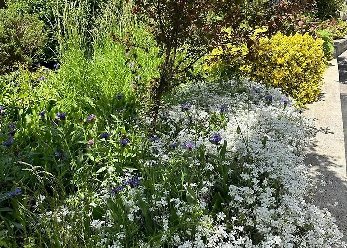 La Malaguena Apartmán